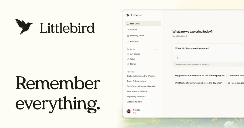 Littlebird website screenshot