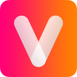 Vidgenie logo